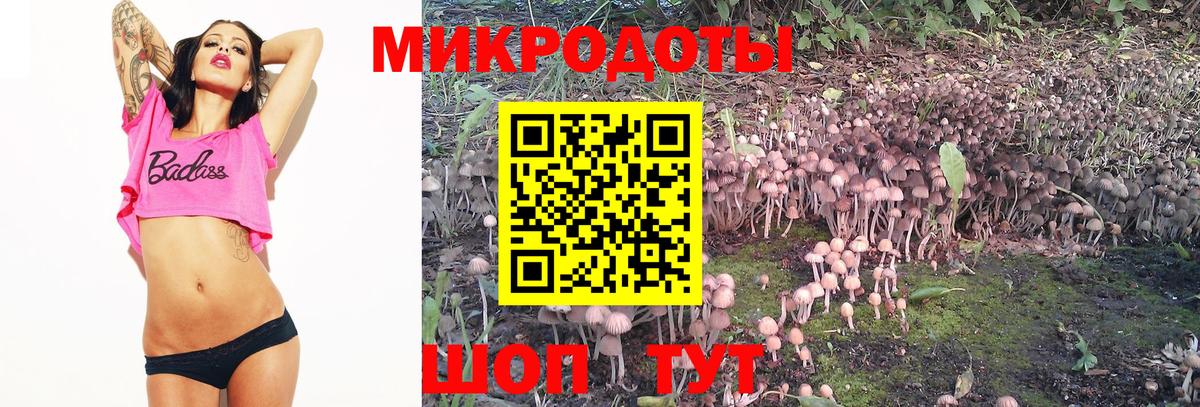 дарнет шоп  Вход с VPN  Кимры  Галлюциногенные грибы мухоморы 